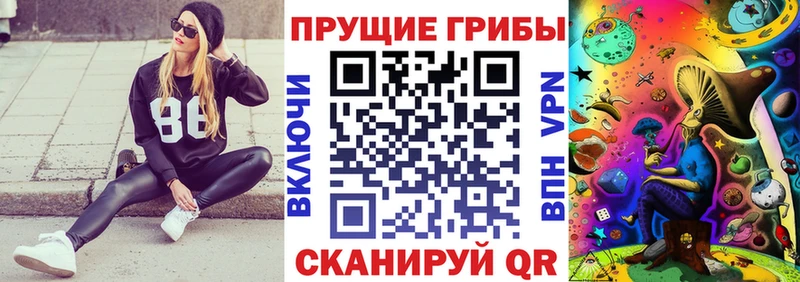 Псилоцибиновые грибы мицелий  где можно купить   Десногорск 