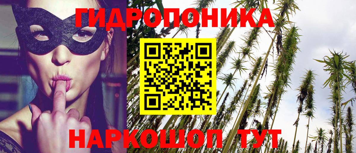 Бошки марихуана AK-47  Вход с VPN  Бошки Шишки THC 21%  Конопля конопля  Десногорск  Бошки марихуана сатива 